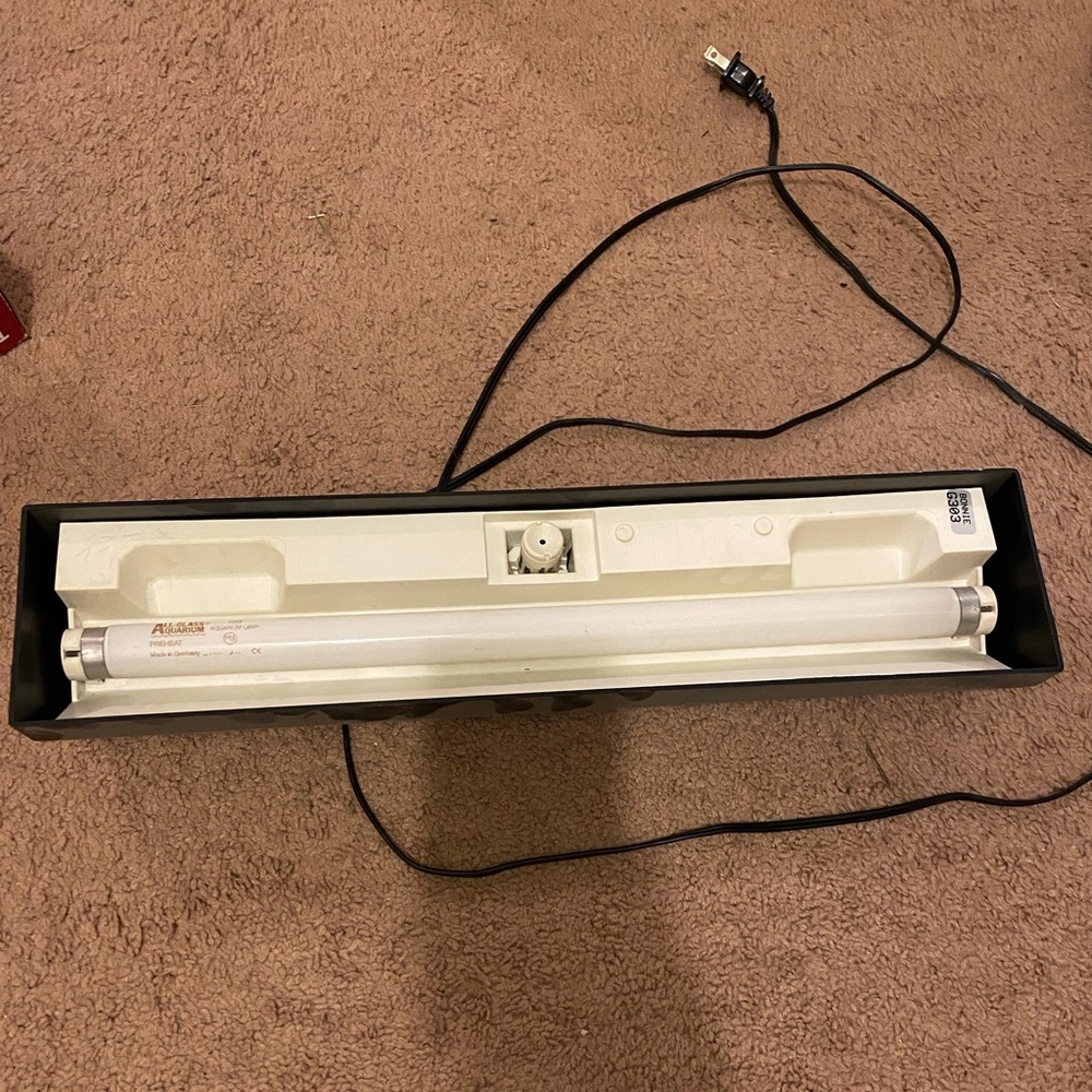 Small Fluorescent plug in light